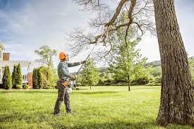Best Hedge Trimming  in Rosedale, MS