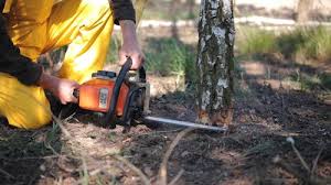 Best Lawn Mowing  in Rosedale, MS